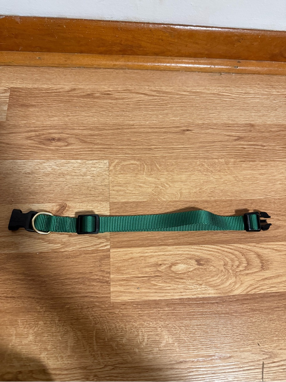 ED By Ellen DeGeneres Dark Green "Love" Pet Adjustable Collar NWOT - Medium